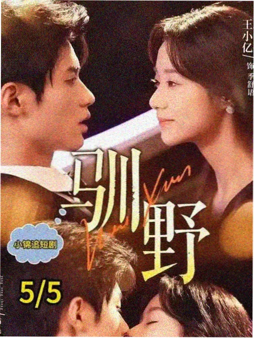 蜜桃电视剧《第九次日落》剧照